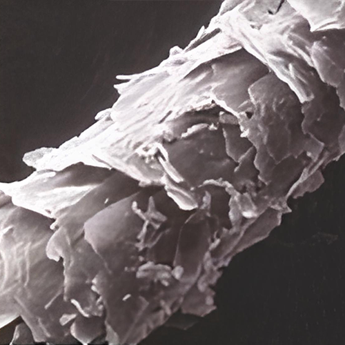 a black and white photo of an object