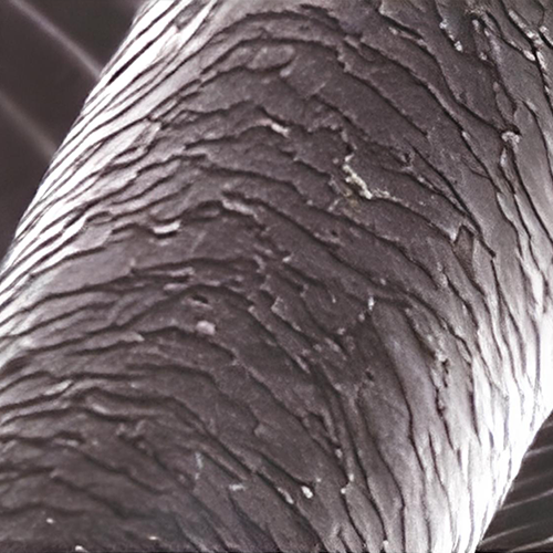 a close up view of an elephant's skin