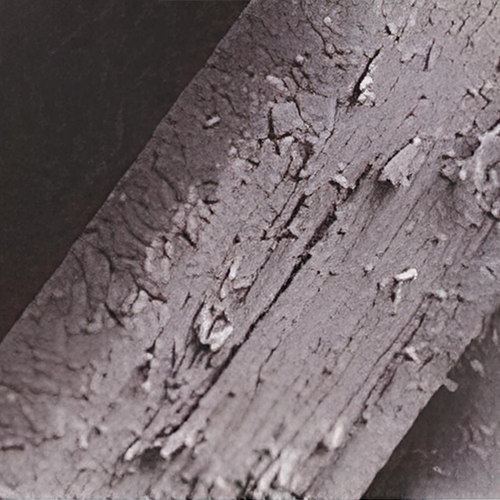 a black and white photo of a piece of wood