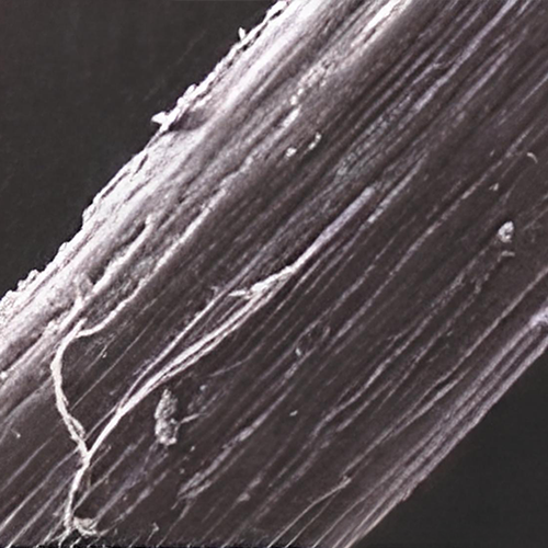 a black and white photo of a rock