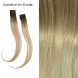 Scandinavian Blonde